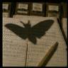 ArchiveMoth