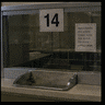 ClerkWindow