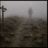 Harz_Wanderer