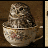 nightowl_Nia